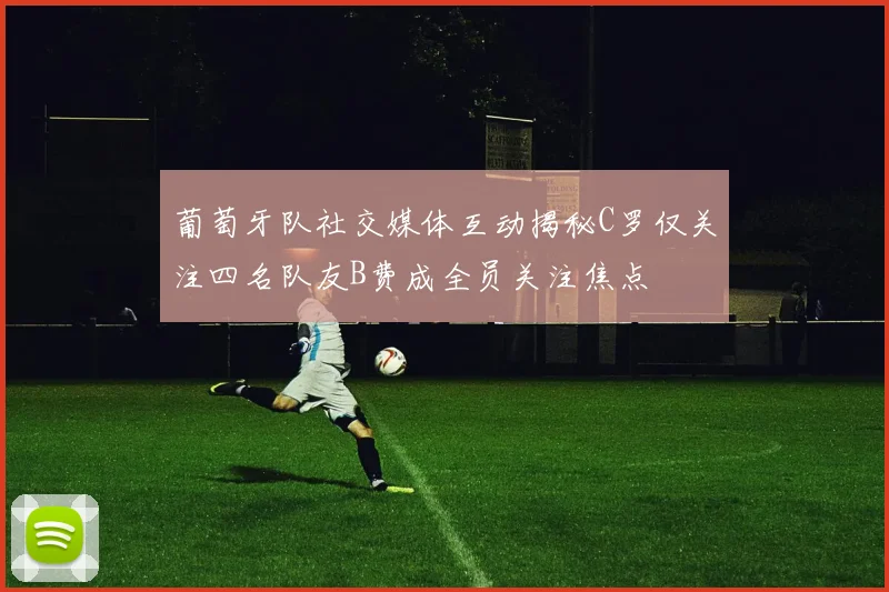 葡萄牙队社交媒体互动揭秘C罗仅关注四名队友B费成全员关注焦点